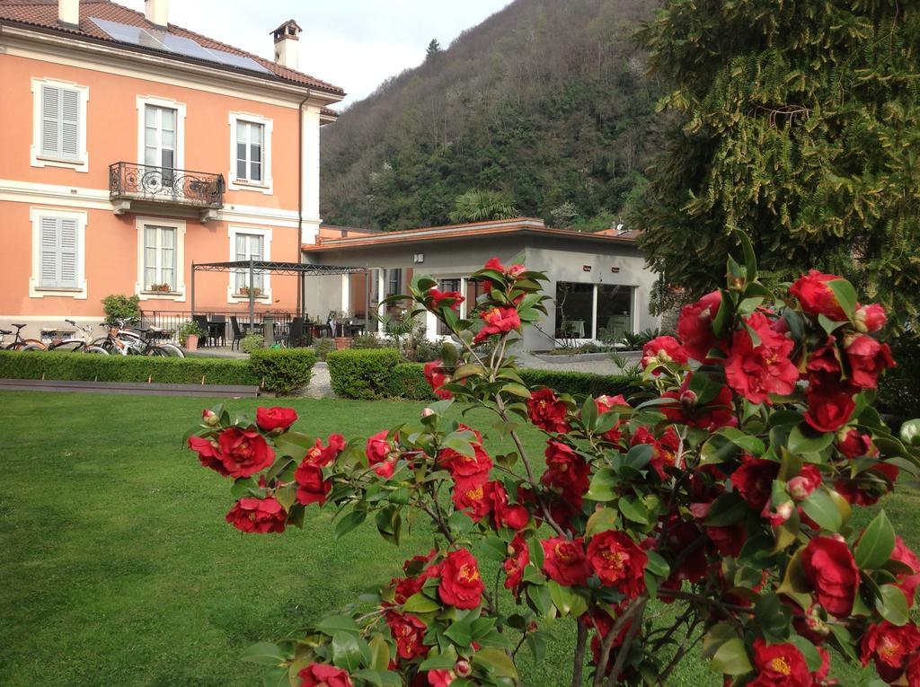 B&B Villa Dei Pini Cannobio Bagian luar foto