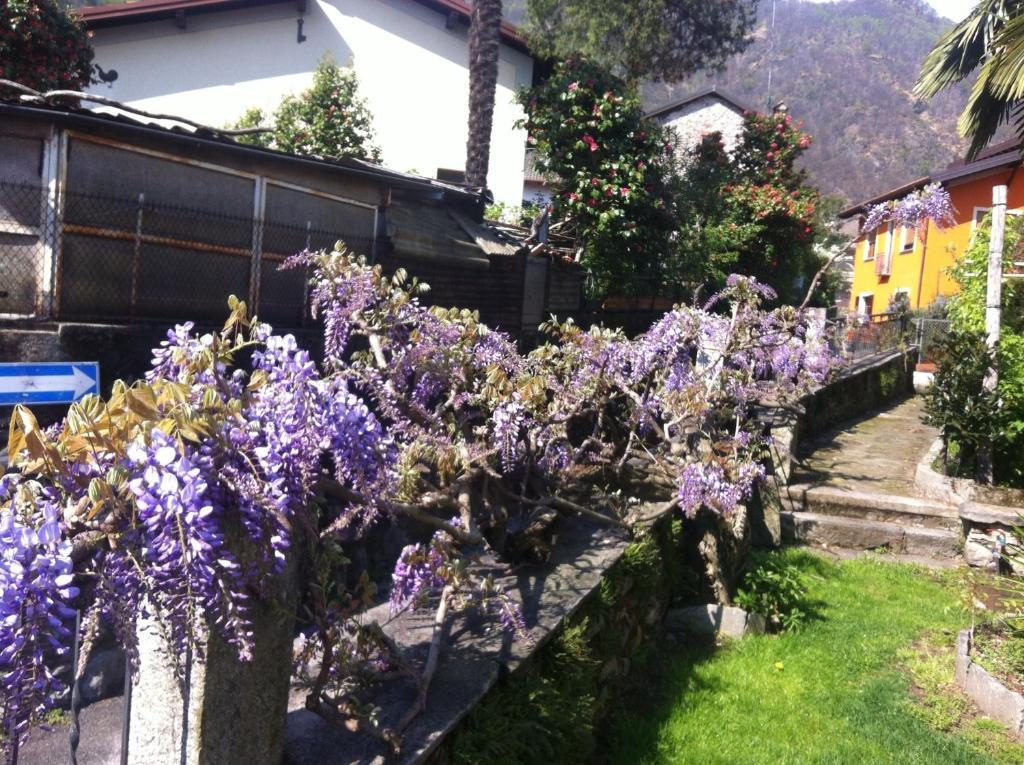 B&B Villa Dei Pini Cannobio Bagian luar foto