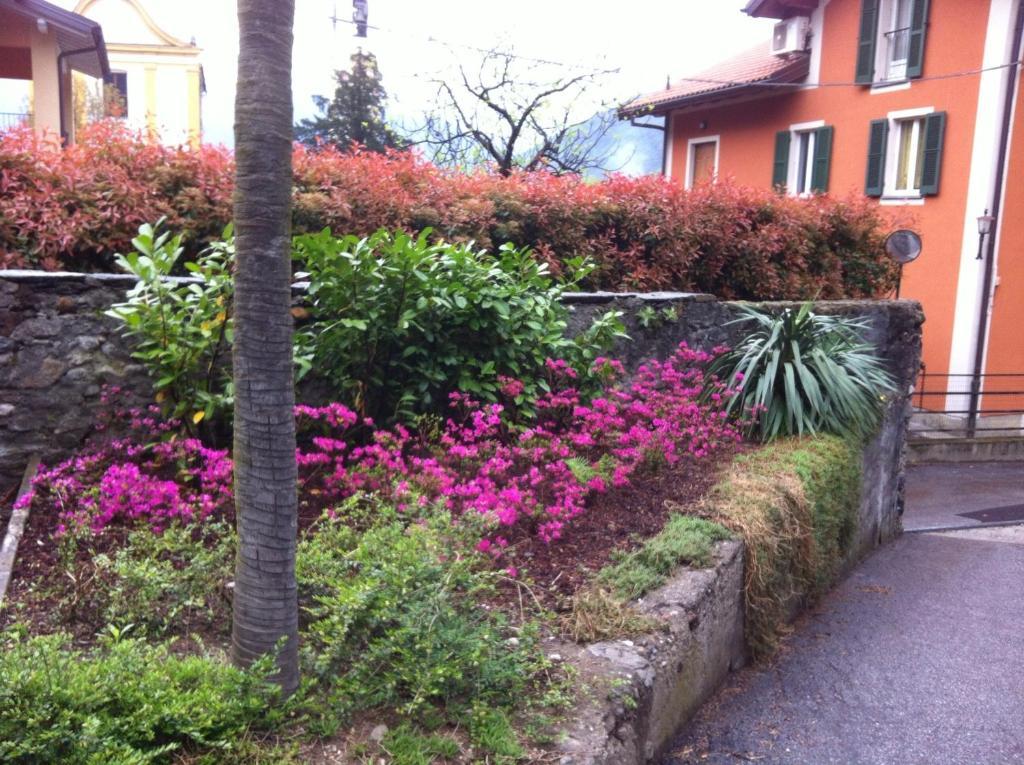 B&B Villa Dei Pini Cannobio Bagian luar foto