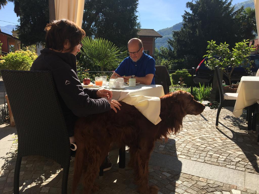 B&B Villa Dei Pini Cannobio Bagian luar foto