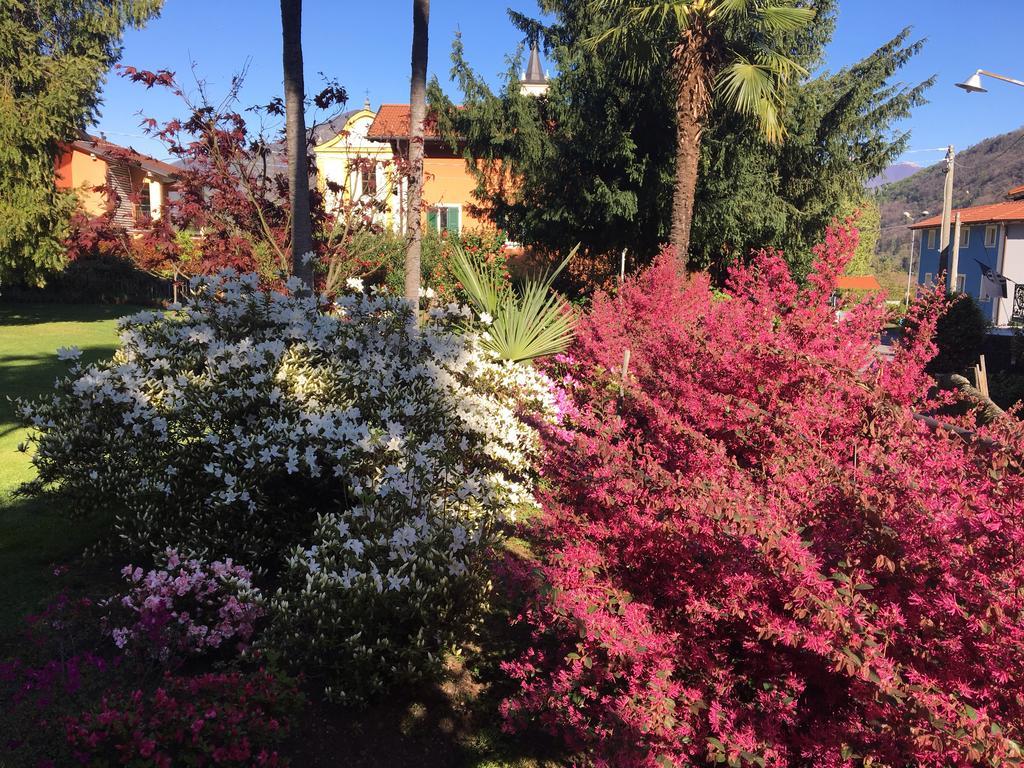 B&B Villa Dei Pini Cannobio Bagian luar foto