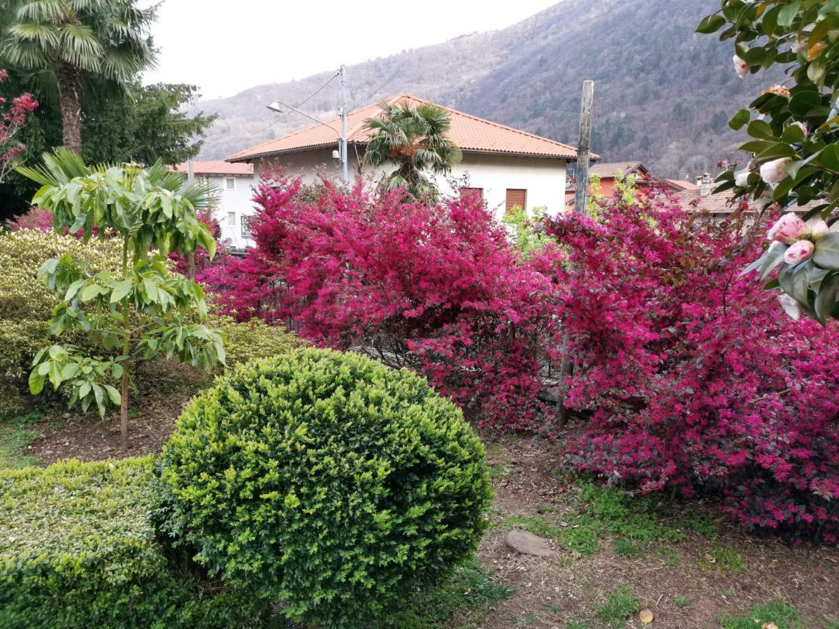 B&B Villa Dei Pini Cannobio Bagian luar foto